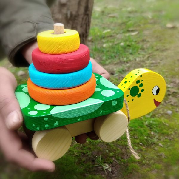 لاکپشت هوش چوبی